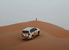 米乐官方网站-蒂姆2020赛季惊喜多过遗憾 来年有望冲世界第一？